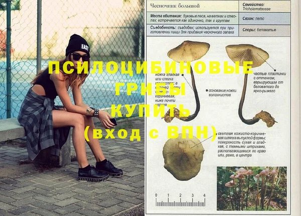 марки nbome Армянск